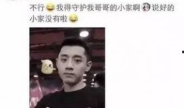 强盛集团爆料事件始末视频,揭秘真相与争议